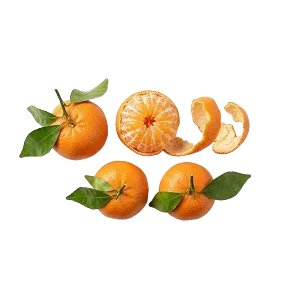 Mandarine