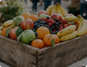 Fruits
